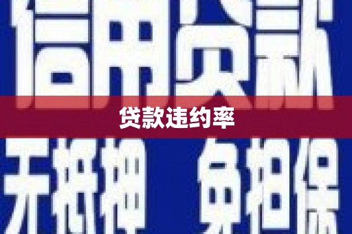 广水贷款违约率