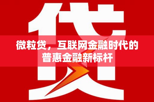 广水微粒贷，互联网金融时代的普惠金融新标杆