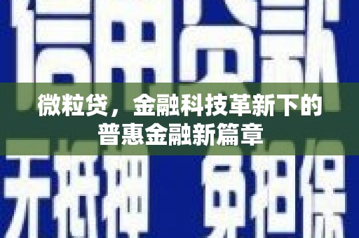 广水微粒贷，金融科技革新下的普惠金融新篇章