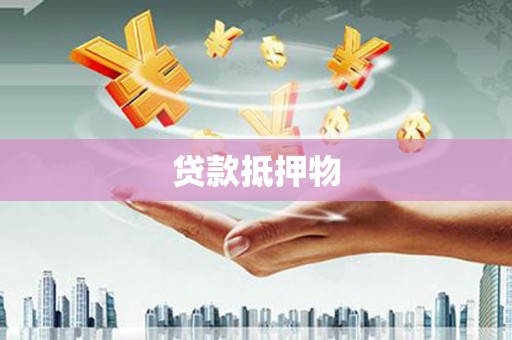 广水贷款抵押物