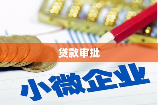 广水贷款审批