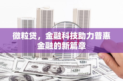 广水微粒贷，金融科技助力普惠金融的新篇章