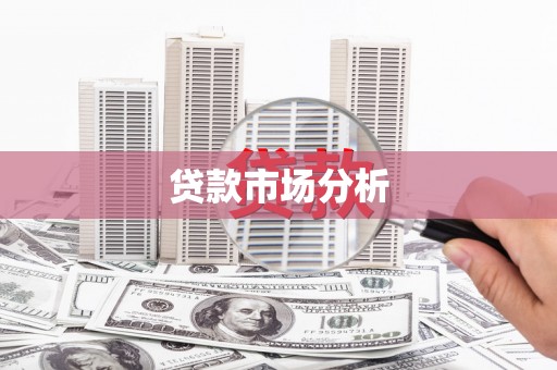 广水贷款市场分析
