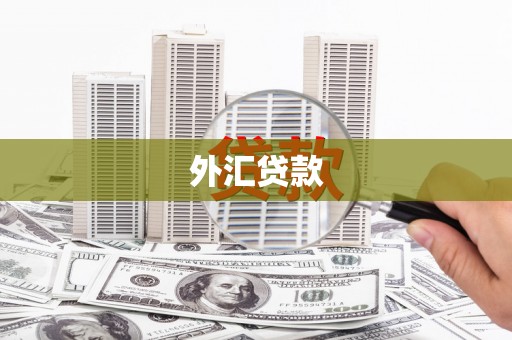 广水外汇贷款