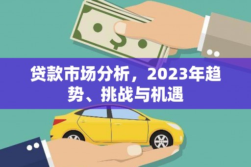 广水贷款市场分析，2023年趋势、挑战与机遇