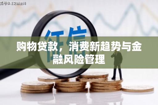 广水购物贷款，消费新趋势与金融风险管理