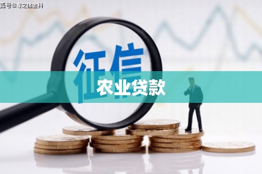 广水农业贷款