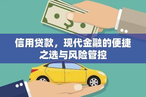 广水信用贷款，现代金融的便捷之选与风险管控