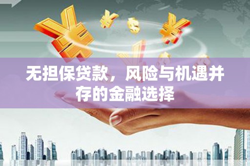 广水无担保贷款，风险与机遇并存的金融选择