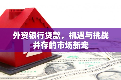 广水外资银行贷款，机遇与挑战并存的市场新宠