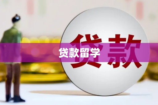 广水贷款留学