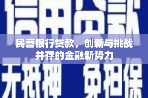 广水民营银行贷款，创新与挑战并存的金融新势力