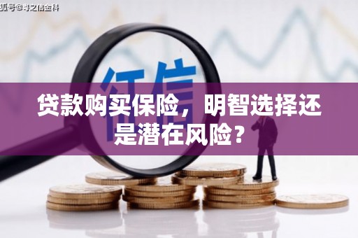 广水贷款购买保险，明智选择还是潜在风险？