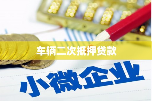 广水车辆二次抵押贷款