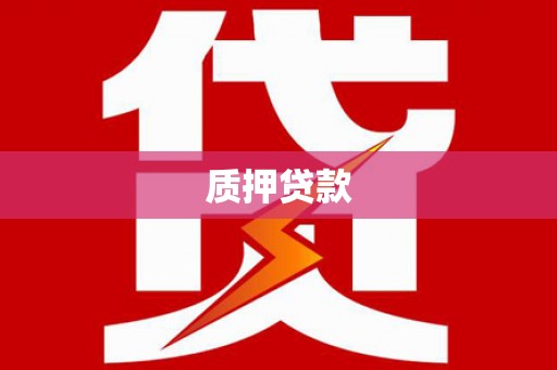 广水质押贷款