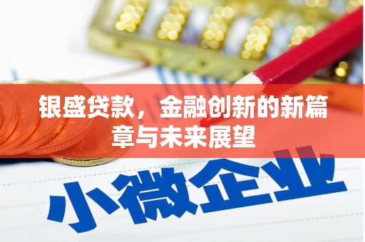 广水银盛贷款，金融创新的新篇章与未来展望
