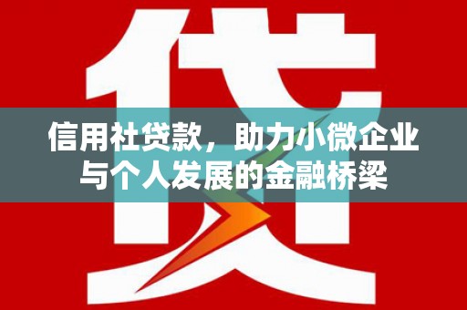 广水信用社贷款，助力小微企业与个人发展的金融桥梁