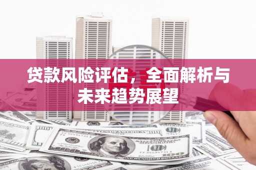 广水贷款风险评估，全面解析与未来趋势展望