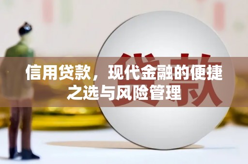 广水信用贷款，现代金融的便捷之选与风险管理
