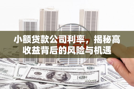 广水小额贷款公司利率，揭秘高收益背后的风险与机遇
