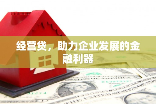 广水经营贷，助力企业发展的金融利器