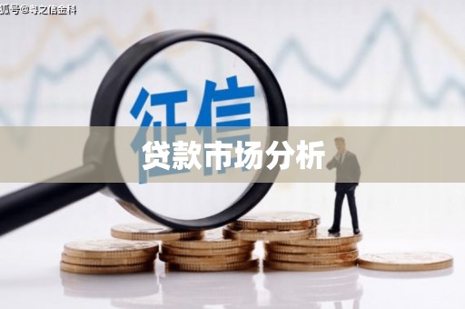 广水贷款市场分析