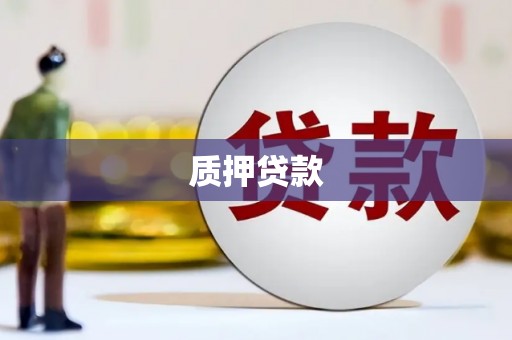 广水质押贷款