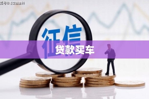 广水贷款买车
