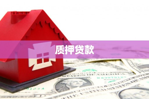 广水质押贷款