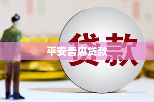 广水平安普惠贷款