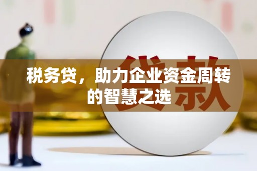 广水税务贷，助力企业资金周转的智慧之选