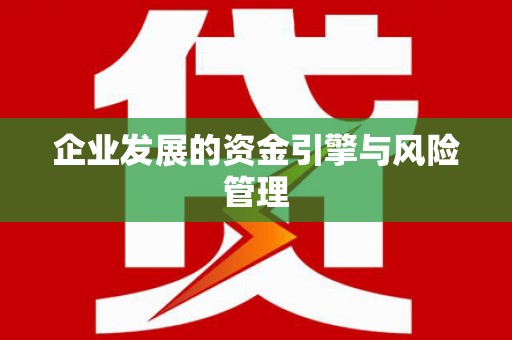 广水企业发展的资金引擎与风险管理