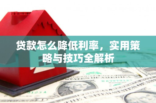 广水贷款怎么降低利率，实用策略与技巧全解析
