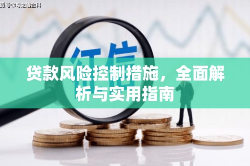 广水贷款风险控制措施，全面解析与实用指南