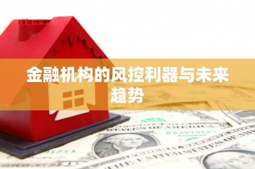 广水金融机构的风控利器与未来趋势