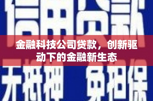 广水金融科技公司贷款，创新驱动下的金融新生态