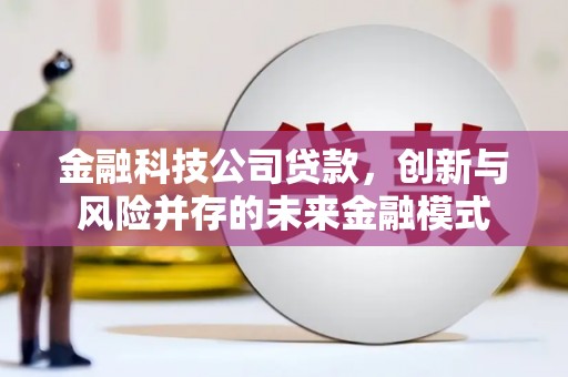广水金融科技公司贷款，创新与风险并存的未来金融模式