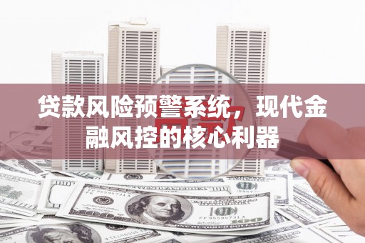 广水贷款风险预警系统，现代金融风控的核心利器