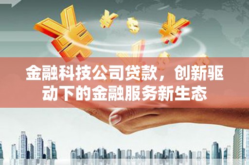 广水金融科技公司贷款，创新驱动下的金融服务新生态