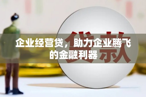 广水企业经营贷，助力企业腾飞的金融利器