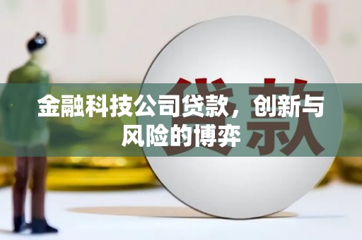 广水金融科技公司贷款，创新与风险的博弈
