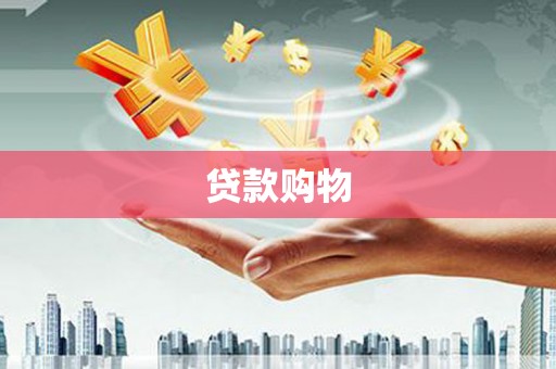 广水贷款购物