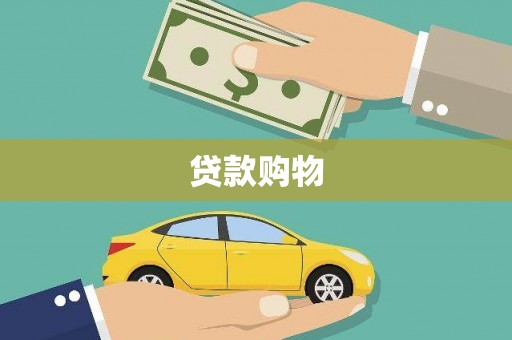 广水贷款购物