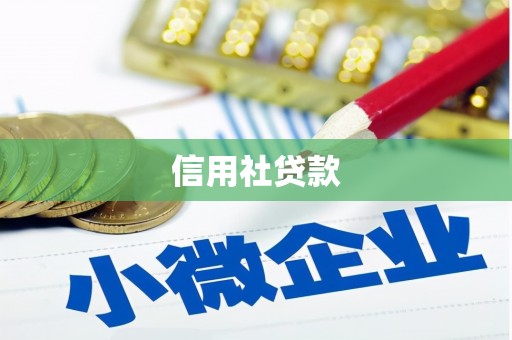 广水信用社贷款