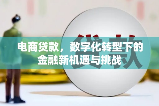 广水电商贷款，数字化转型下的金融新机遇与挑战