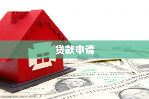 广水贷款申请