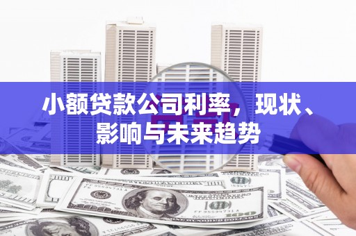 广水小额贷款公司利率，现状、影响与未来趋势