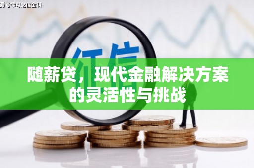 广水随薪贷，现代金融解决方案的灵活性与挑战