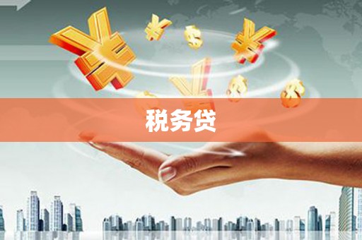 广水税务贷