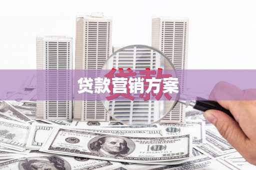 广水贷款营销方案
